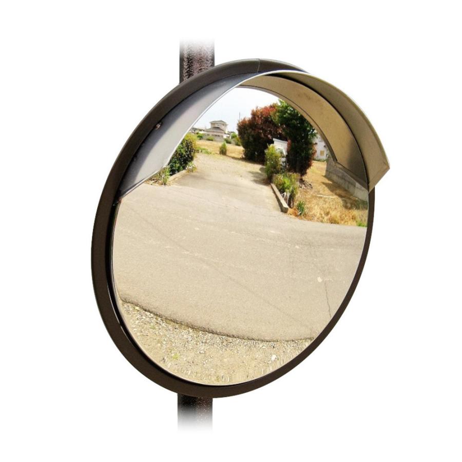 サンケイ技研 ステンレスミラー 径300 ポール式 ブラウン ×2個 セット販売 |  | 01