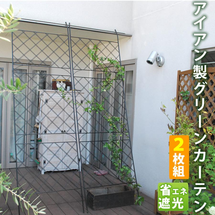 アイアン製グリーンカーテン 2枚組フェンス アイアン グリーンカーテン ゴーヤ 薔薇 バラ 朝顔 庭 ベランダ ガーデニング 枠 柵 仕切り Su Dnf 270 2p Reseo 通販 Yahoo ショッピング