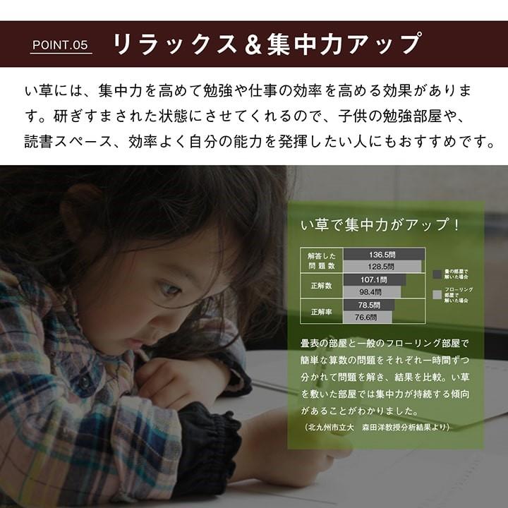 国産 日本製 い草 ござ 和室 上敷き カーペット 敷物 双目織 本間 3畳 約191×286cm