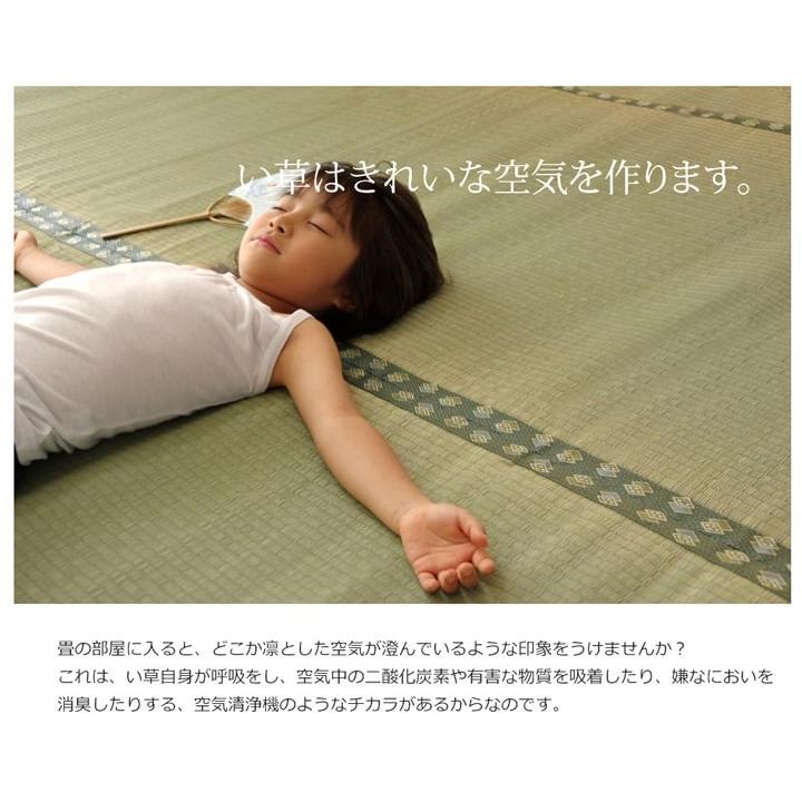 国産 日本製 い草 ござ 和室 上敷き カーペット 敷物 双目織 多サイズ 江戸間 3畳 約176×261cm