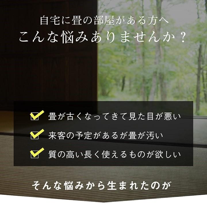 国産 日本製 い草 ござ 和室 上敷き カーペット 敷物 双目織 多サイズ 六一間8畳 約370×370cm