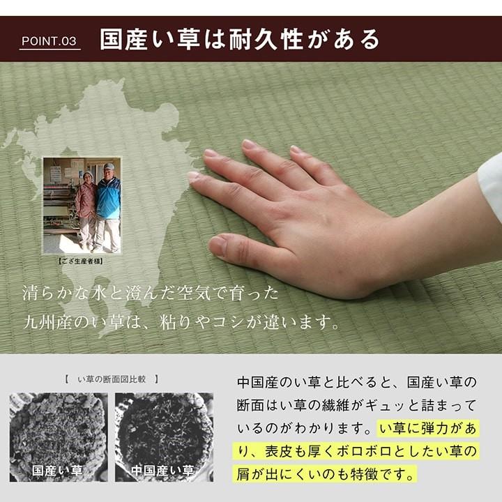 国産 日本製 い草 ござ 和室 上敷き カーペット 敷物 双目織 多サイズ 本間 8畳 約382×382cm