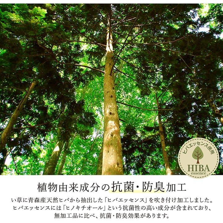 ラグ い草 モダン 国産 国産 日本製 ウレタン 滑りにくい抗菌防臭 自然素材 ナチュラル 約191×191cm_8