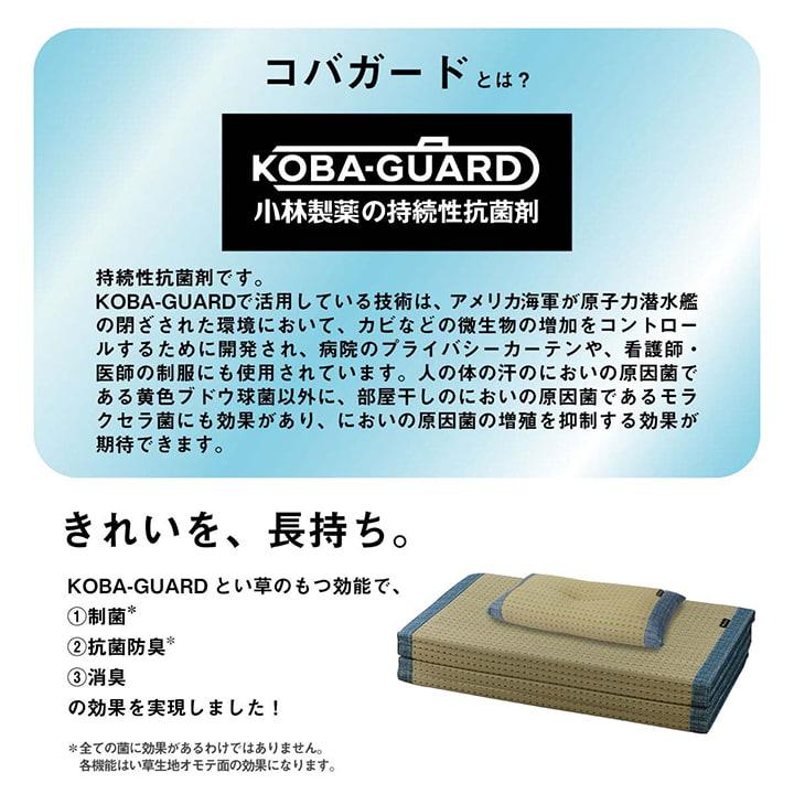 い草 い草枕 い草マット セット お昼寝 くつろぎ ギフト 父の日 消臭 シンプル ブルー マットサイズ約80×180cm 枕サイズ約50×3_4