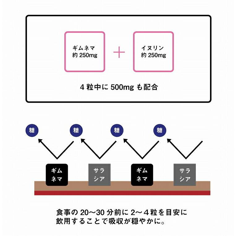 2パック いちたす ダイエットサポートサプリ ギムネマ サラシア 30 60日分 2セット 240粒 サプリメント ギムネマ サラシア 乳酸菌 イヌリ Lusp 7 Sugartime 通販 Yahoo ショッピング