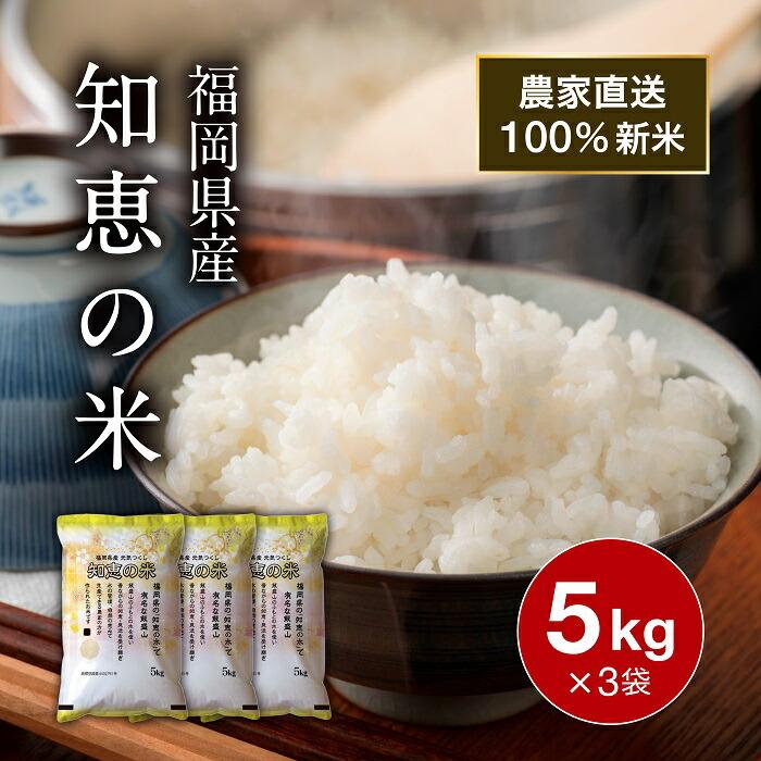 5kg 3袋セット 元気つくし 新米 お米 15kg