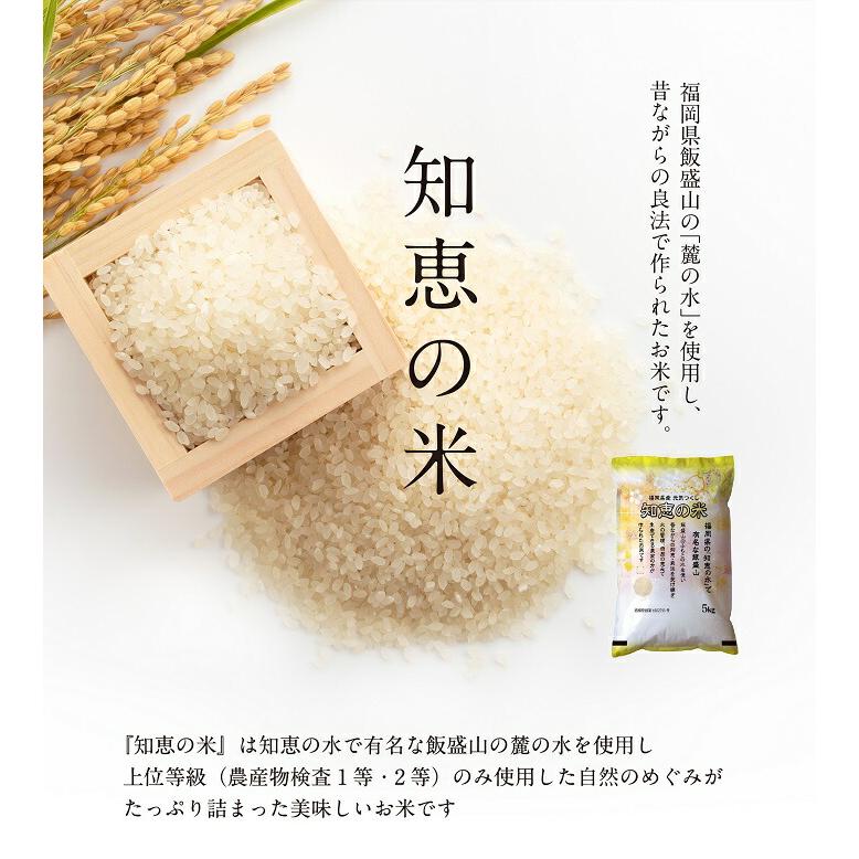 農家直送米 新米 令和7年産 お米 15kg 送料無料 知恵の米 元気つくし 