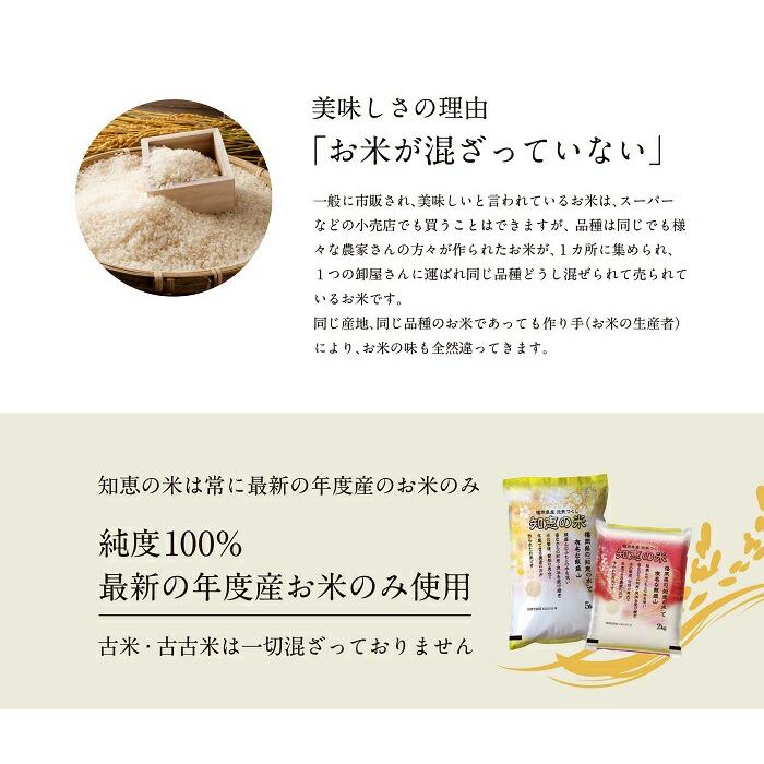 農家直送米 新米 令和7年産 お米 15kg 送料無料 知恵の米 元気つくし 