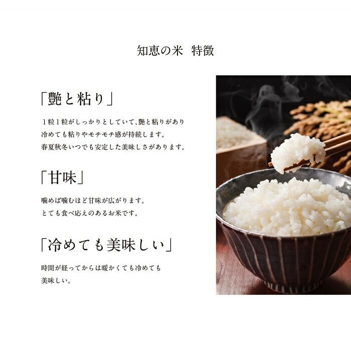 農家直送米 新米 令和7年産 お米 15kg 送料無料 知恵の米 元気つくし 