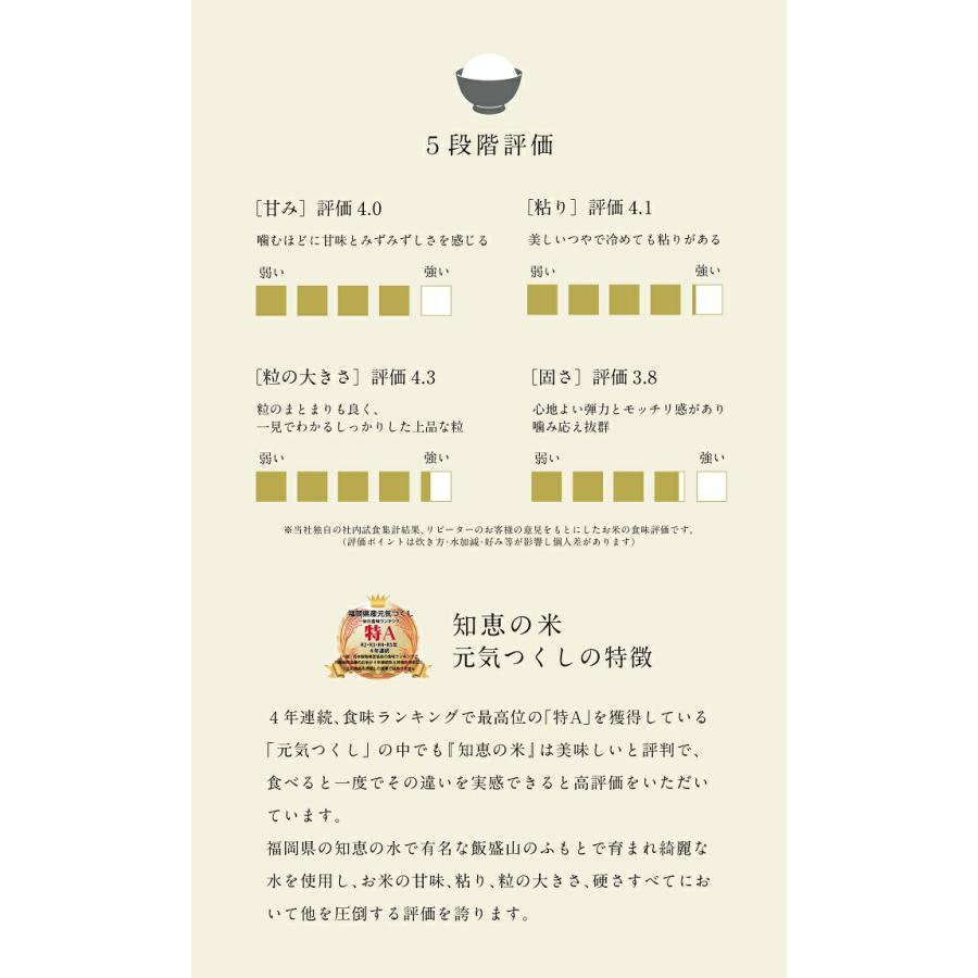 農家直送米 新米 令和7年産 お米 15kg 送料無料 知恵の米 元気つくし 