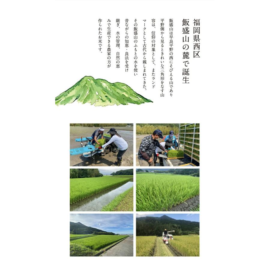 農家直送米 新米 令和7年産 お米 15kg 送料無料 知恵の米 元気つくし 