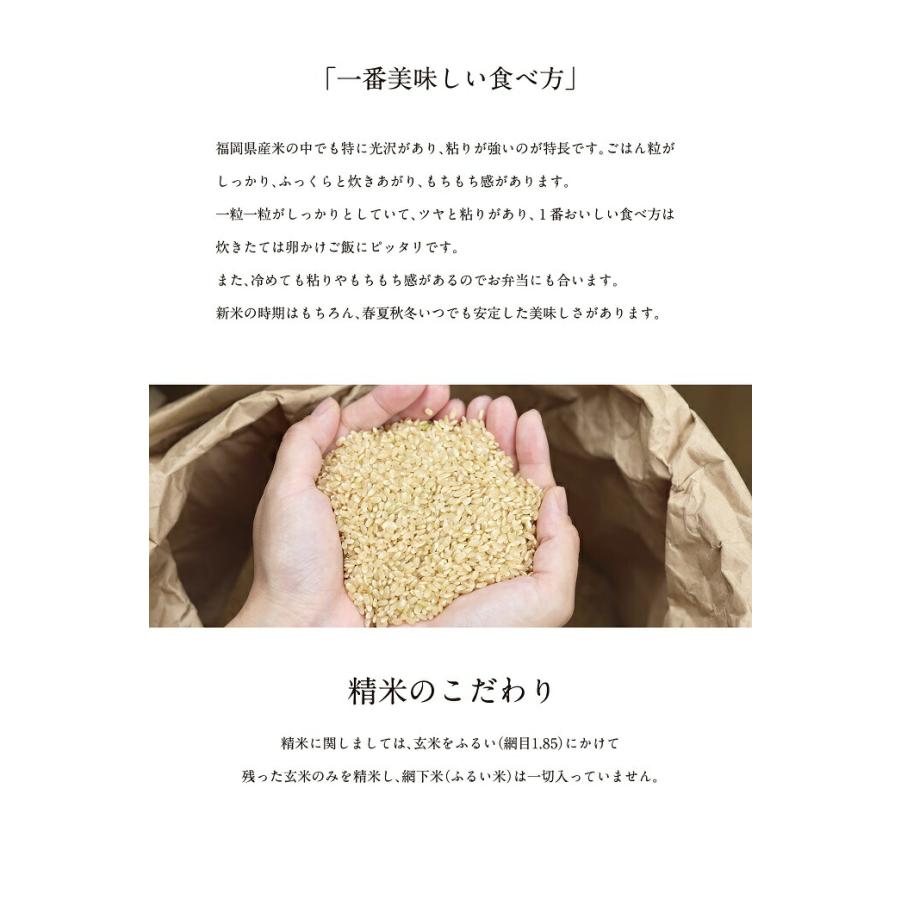 農家直送米 新米 令和7年産 お米 15kg 送料無料 知恵の米 元気つくし 