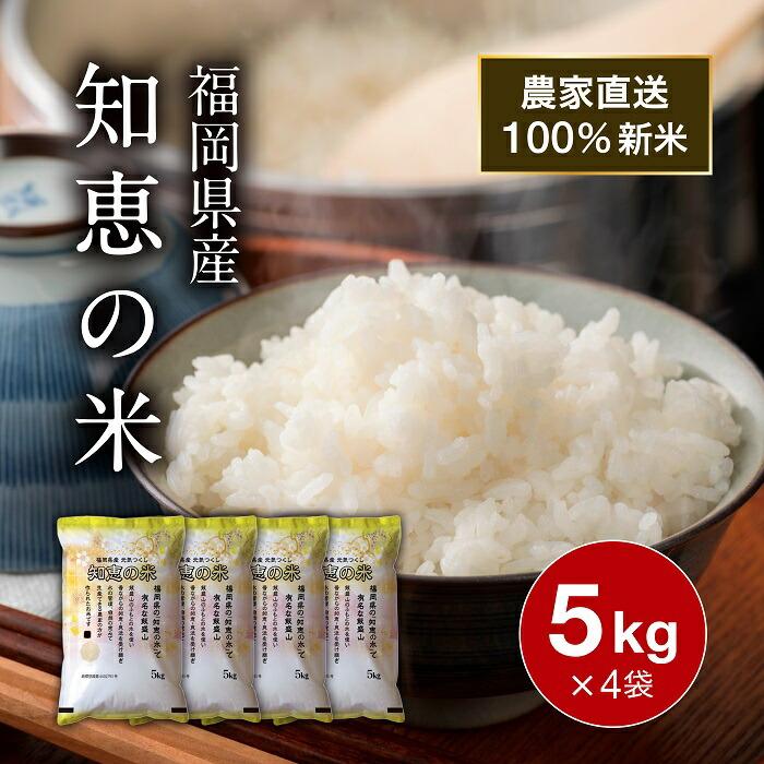 送料無料 元気つくし 20kg 令和7年産 新米 お米 知恵の米 精米 米 白米