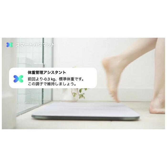 ISSIN スマートバスマット SBM22U01LJ グレー グリーン ダークグレー