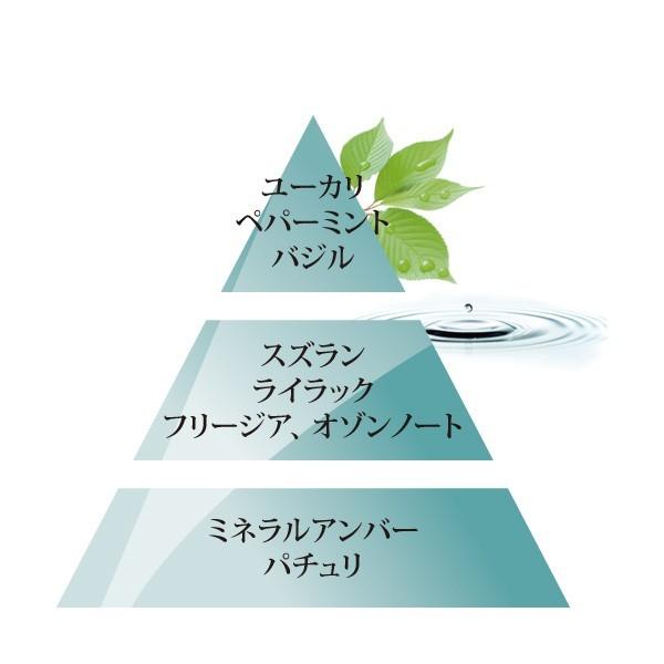 MB サマーレイン, 1000ml, ランプベルジェ, アロマオイル : DCHL JAPAN