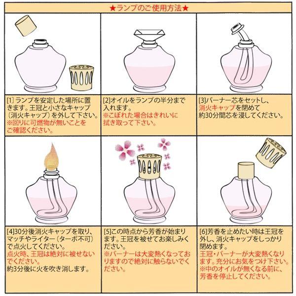 単品 お試し ラボーテ 詰め替え 100ml｜lampeberger｜04