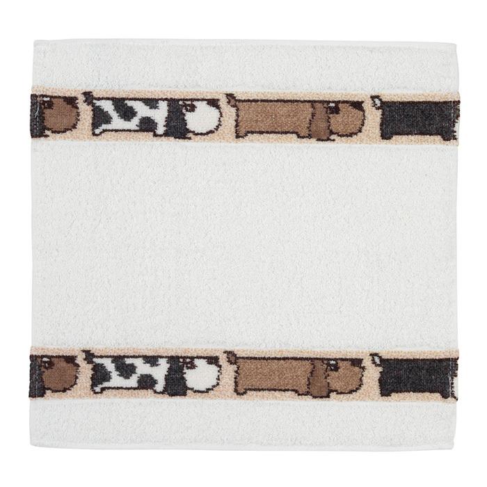 FEILER フェイラー　フェルメール feiler フェイラー フラット ポーチ M10 ベラ Bella : ランプ