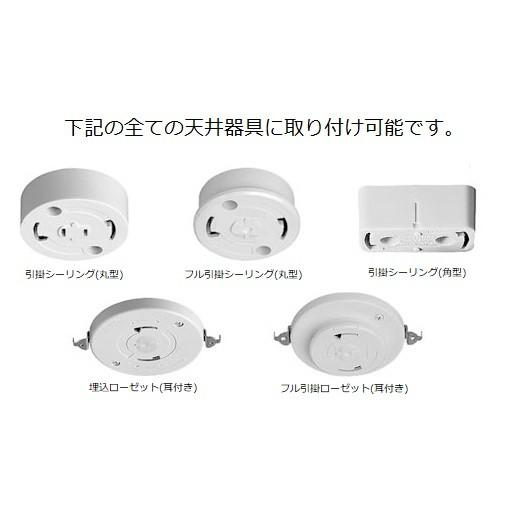 B22真鍮製ソケットコード B22ソケットコード（茶コード） - LAMPLAMP -Royal Lamp Works-