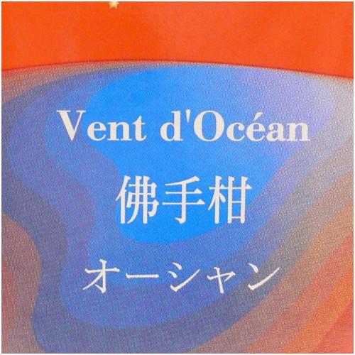 ランプベルジェ アロマオイル 100ml お試し オーシャン【A1417