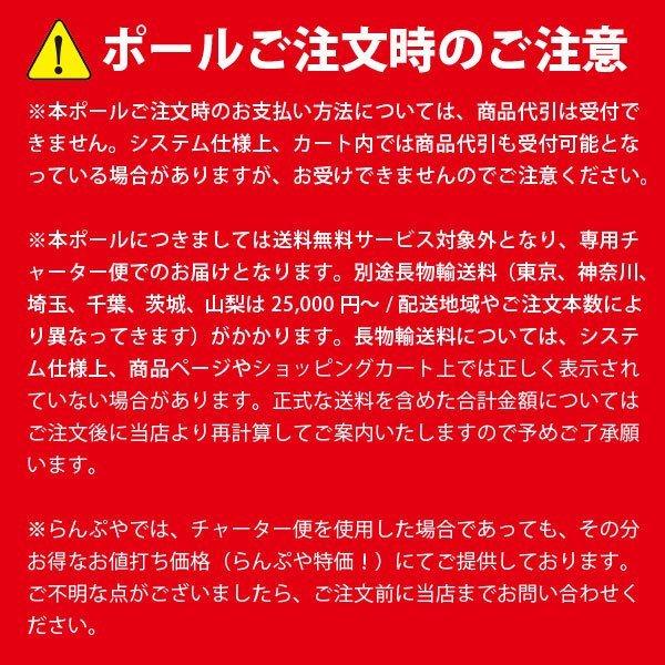 多目的用途柱 NA ポール TS-10 60433 メッキ（Z）日本ネットワーク