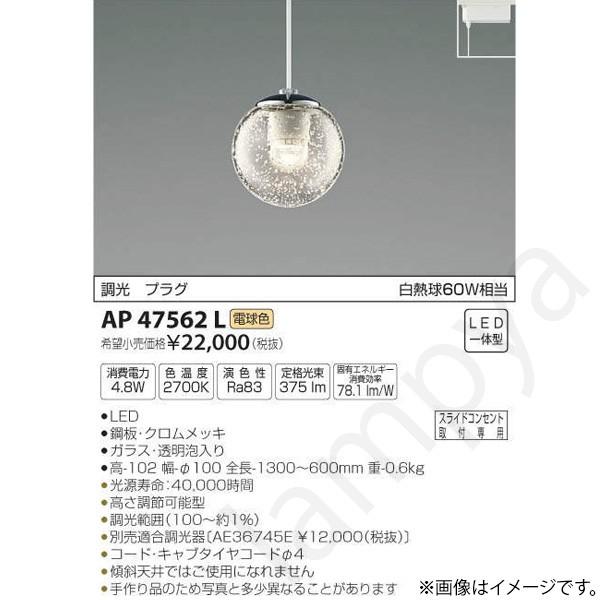 Radial Phazer フェーズアライメントツール 国内正規品 【公式通販】