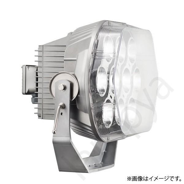 LED投光器 E31212M NSAN2(E31212MNSAN2) 岩崎電気
