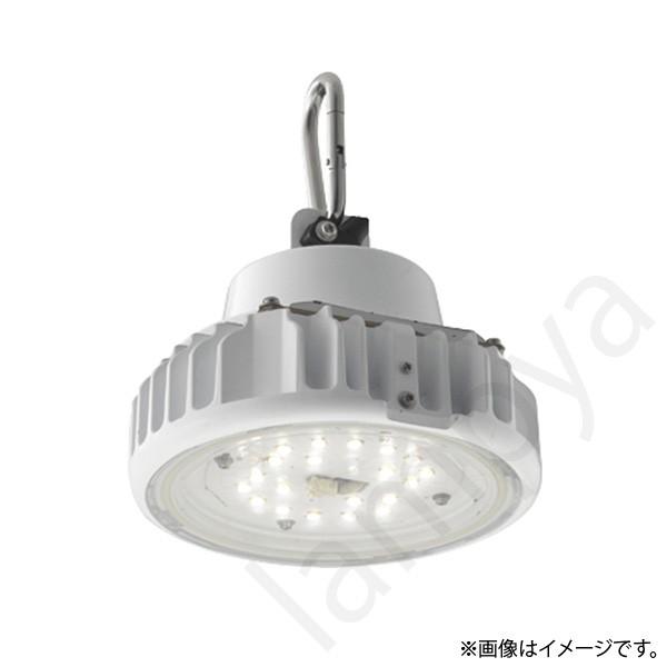 LED施設照明 EQCL1002CSA9 岩崎電気