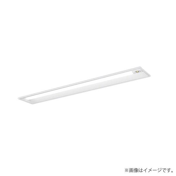 XLG441RGNLE9（NNLG41819+NNL4405GN LE9）XLG441RGN LE9 LED非常灯 非常用照明器具 セット パナソニック
