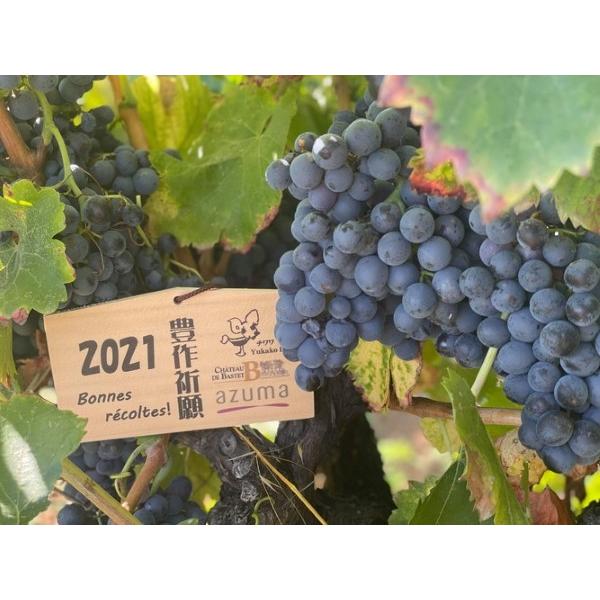 シャトー・ド・バステ レ セードル IGP ガード ブラン BIB 3L 白ワイン フランス ボックスワイン 自然派 ナチュラルワイン |  | 05