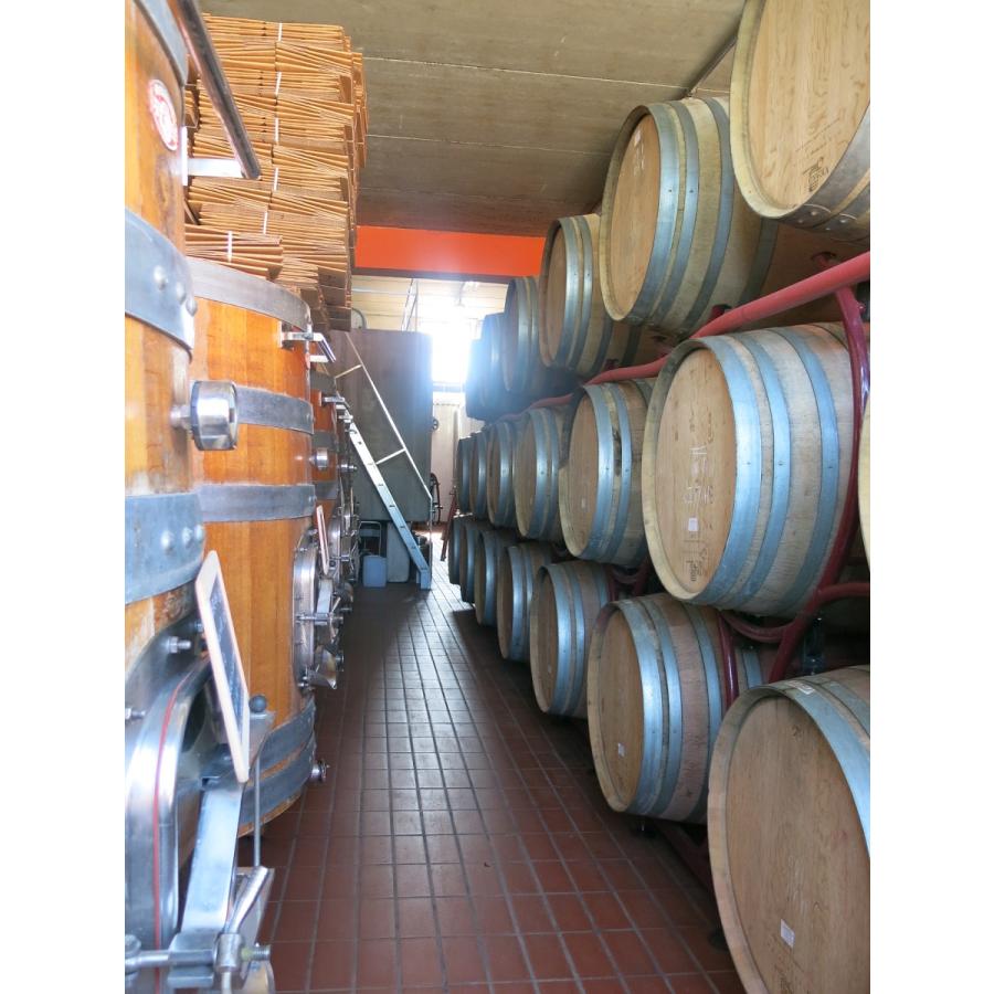 ポデーレ414 トスカーナ フラワー パワー ロゼワイン サンジョヴェーゼ イタリア 750ml 自然派 ナチュラルワイン | オーガニック | 06