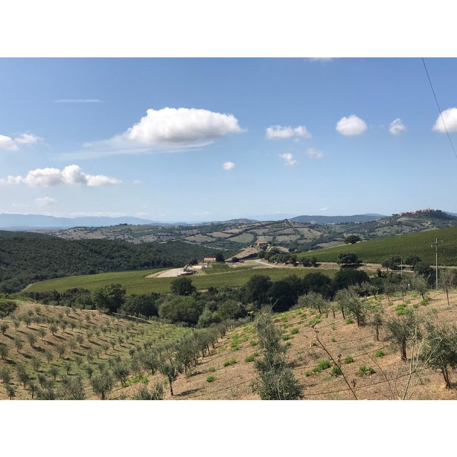 ポデーレ414 トスカーナ フラワー パワー ロゼワイン サンジョヴェーゼ イタリア 750ml 自然派 ナチュラルワイン | オーガニック | 09