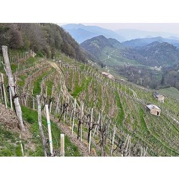 マルスレット プロセッコ ヴァルドッビアデーネ Sup サン ボルド ブリュット 発泡白ワイン イタリア 750ml マルスーレ スプマンテ |  | 03