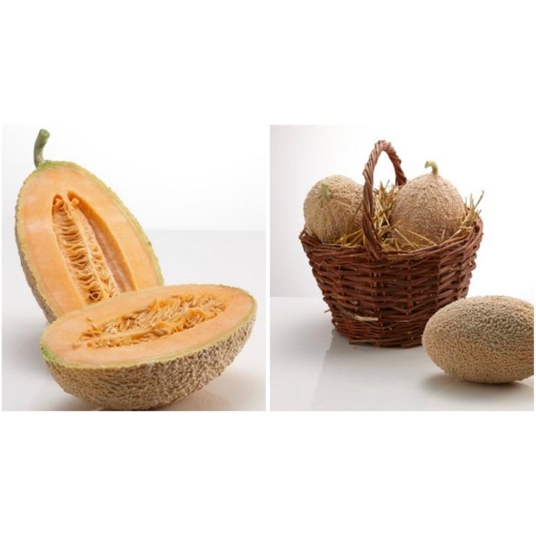 メロンリキュール カルヴェンツァーノ メロンチェッロ 500ml 蒸留酒 イタリア ロンバルディア Calvenzano |  | 04