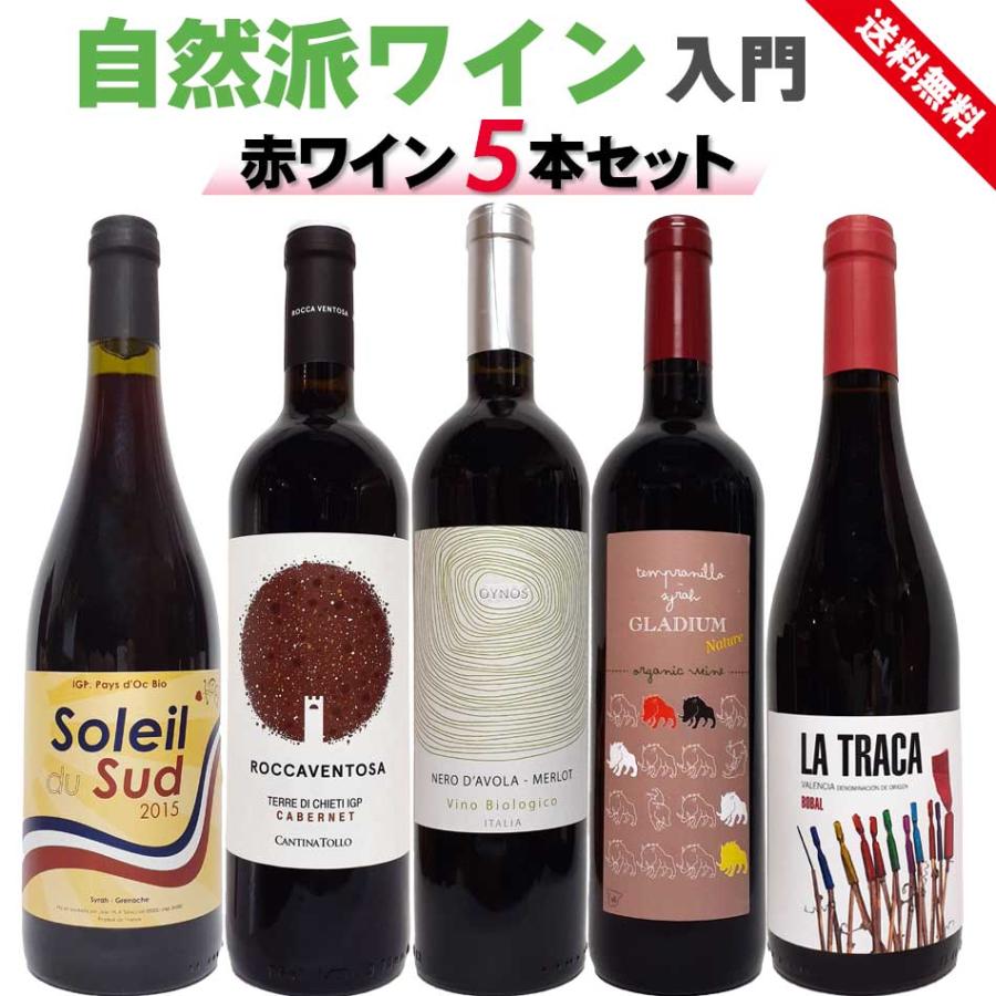 自然派ワイン入門セット 赤ワイン5本セット フランス イタリア 自然派ワイン入門セット 赤ワイン5本セット フランス イタリア