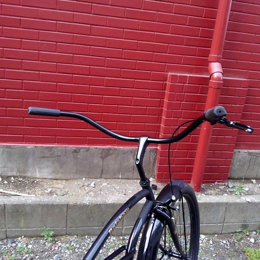 自転車 RAINBOW PCH101 29er グロスブラック×マットブラック 自転車 RAINBOW PCH101 29er グロスブラック×マットブラック