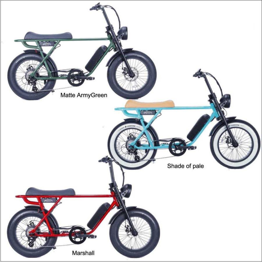 自転車 BRONX BUGGY-20 新色 電動アシスト Eバイク 公道可 送料無料 東京 神奈川 埼玉 千葉 地域限定限定 ファットバイク 20インチ 通勤 通学 :bronx-buggy-20-ebike-newcolor:ラナイマカイ - 通販 - Yahoo!ショッピング