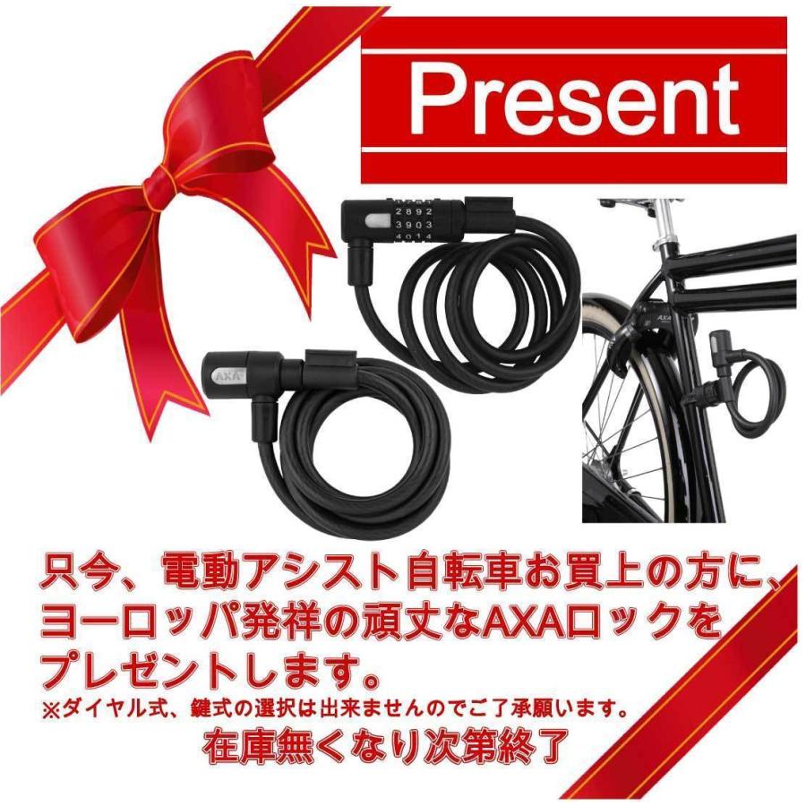電動アシスト自転車 BRONX BUGGY-20 E-BIKE 新色 東京 神奈川 埼玉 