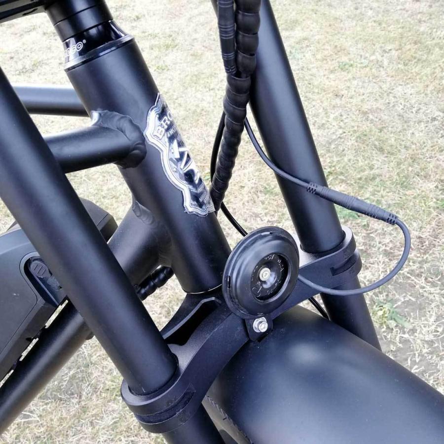 日本限定モデル 自転車 Bronx Buggy マットブラック E Bike 電動アシスト ｅバイク 公道可 送料無料 東京 神奈川 埼玉 千葉 限定 ファットバイク インチ 通勤 通学 Dprd Jatimprov Go Id