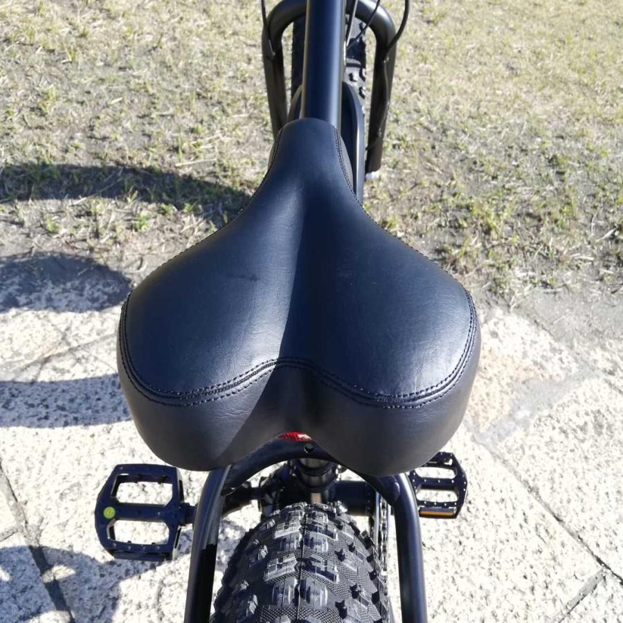 電動アシスト自転車 BRONX TRX EVO BLACK×BLACKリム E-BIKE ブロンクス