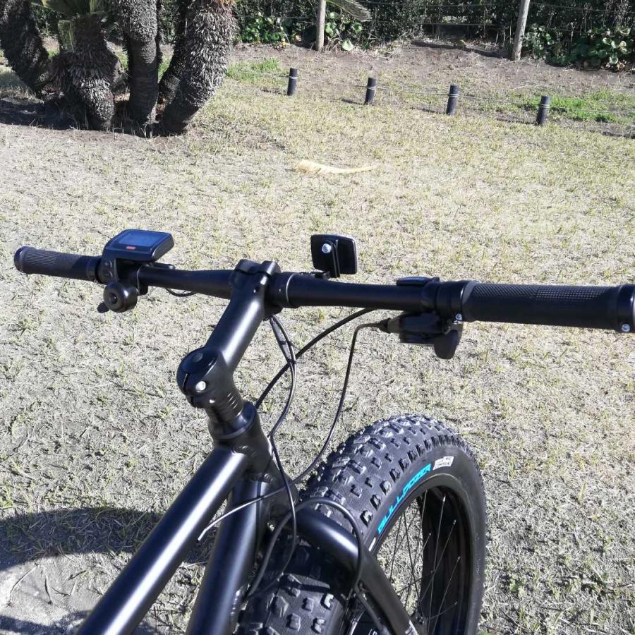 電動アシスト自転車 BRONX TRX EVO BLACK×BLACKリム E-BIKE ブロンクス