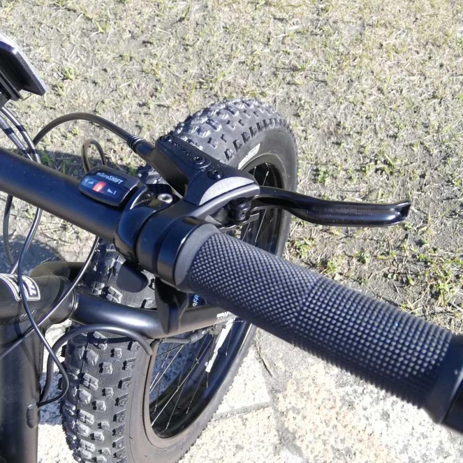 電動アシスト自転車 BRONX TRX EVO BLACK×BLACKリム E-BIKE ブロンクス