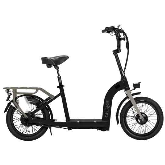特定小型原動機付 自転車 HUDSON-RIVER MELROSE レインボー 正規代理店