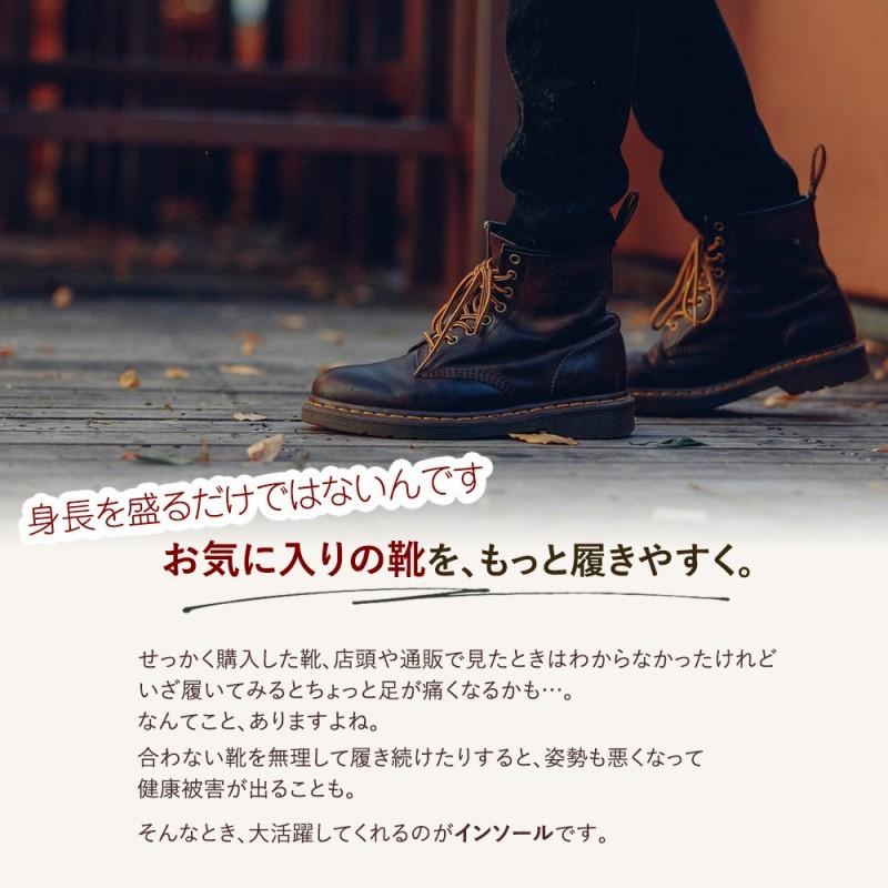 シークレットインソール 3種類セット 2cm 3cm 4cm 身長を盛れる 男女