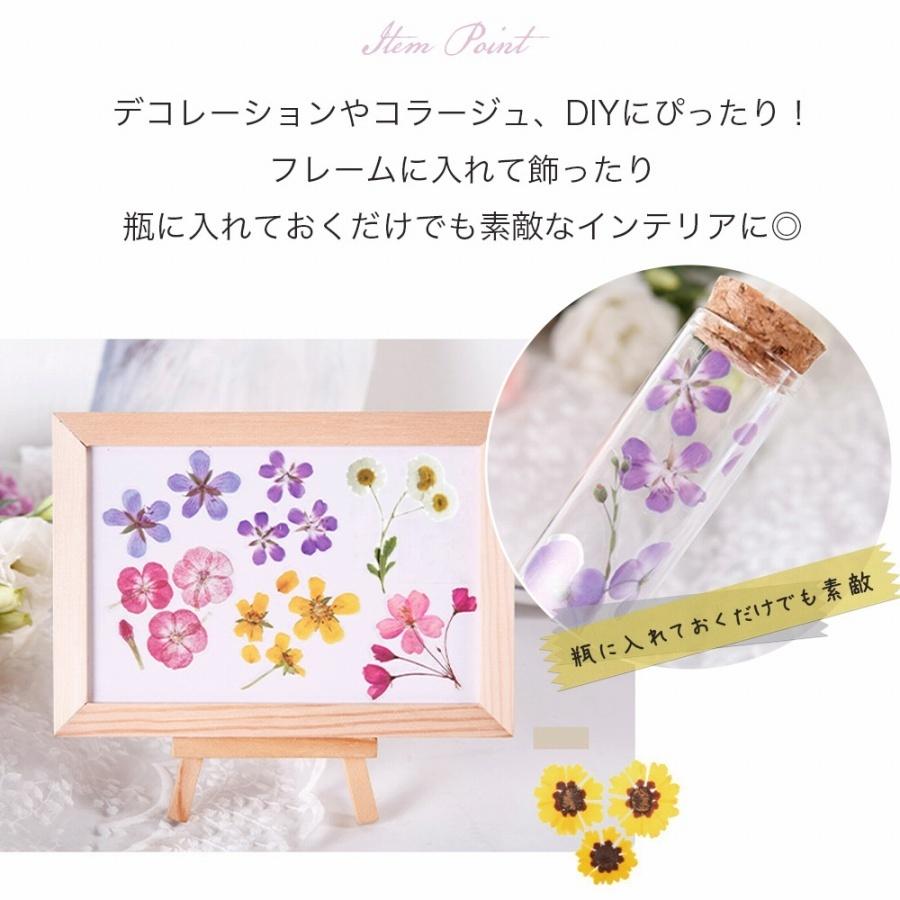 ステッカー 花 4色セット かわいい リアル シール ボタニカル