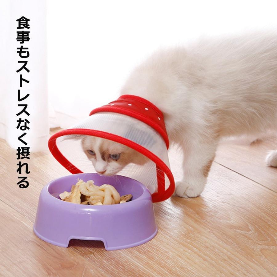 エリザベスカラー 犬 猫 犬猫兼用 ペット 傷舐め 噛みつき 術後 去勢