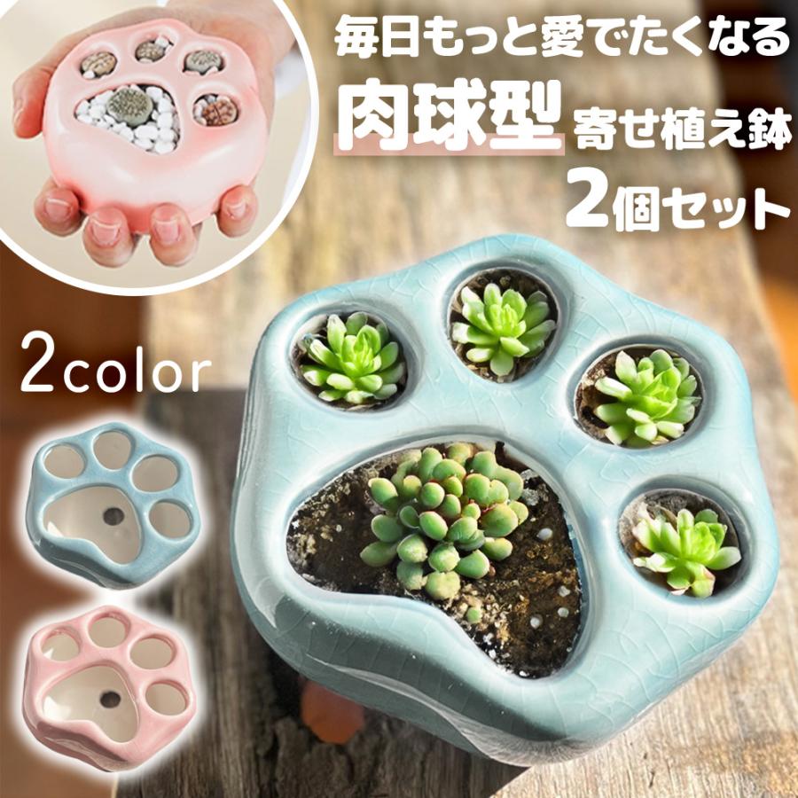 肉球 多肉植物 寄せ植え 鉢 2個セット 猫 可愛い ピンク ブルー