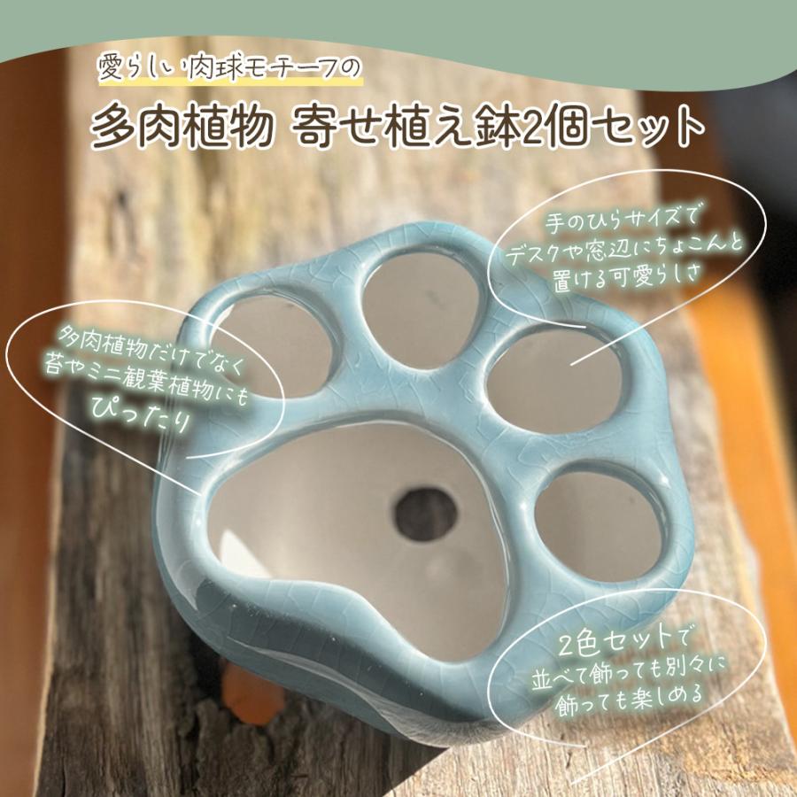 肉球 多肉植物 寄せ植え 鉢 2個セット 猫 可愛い ピンク ブルー