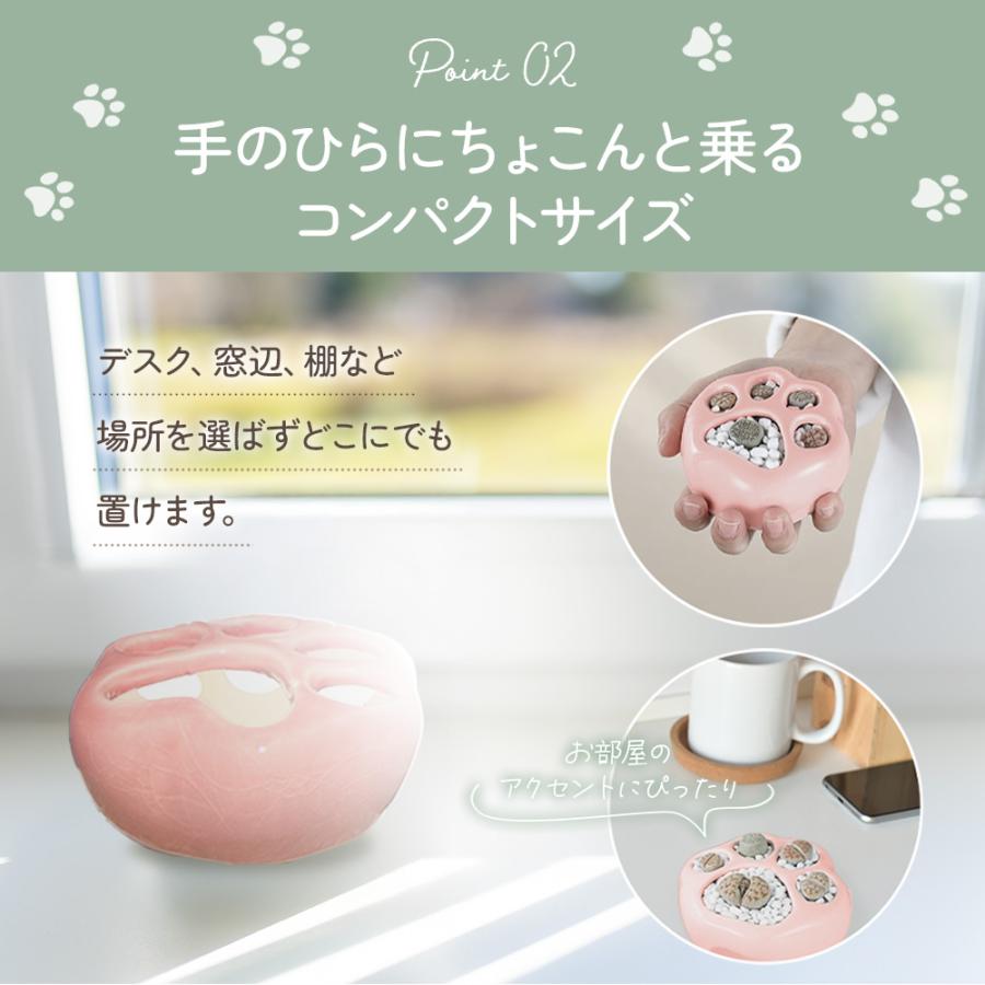 肉球 多肉植物 寄せ植え 鉢 2個セット 猫 可愛い ピンク ブルー