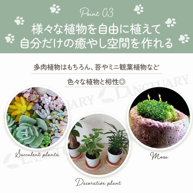 299(肉球) 植物3点セット 肉球 多肉植物 寄せ植え 鉢 2個セット 猫 可愛い ピンク ブルー