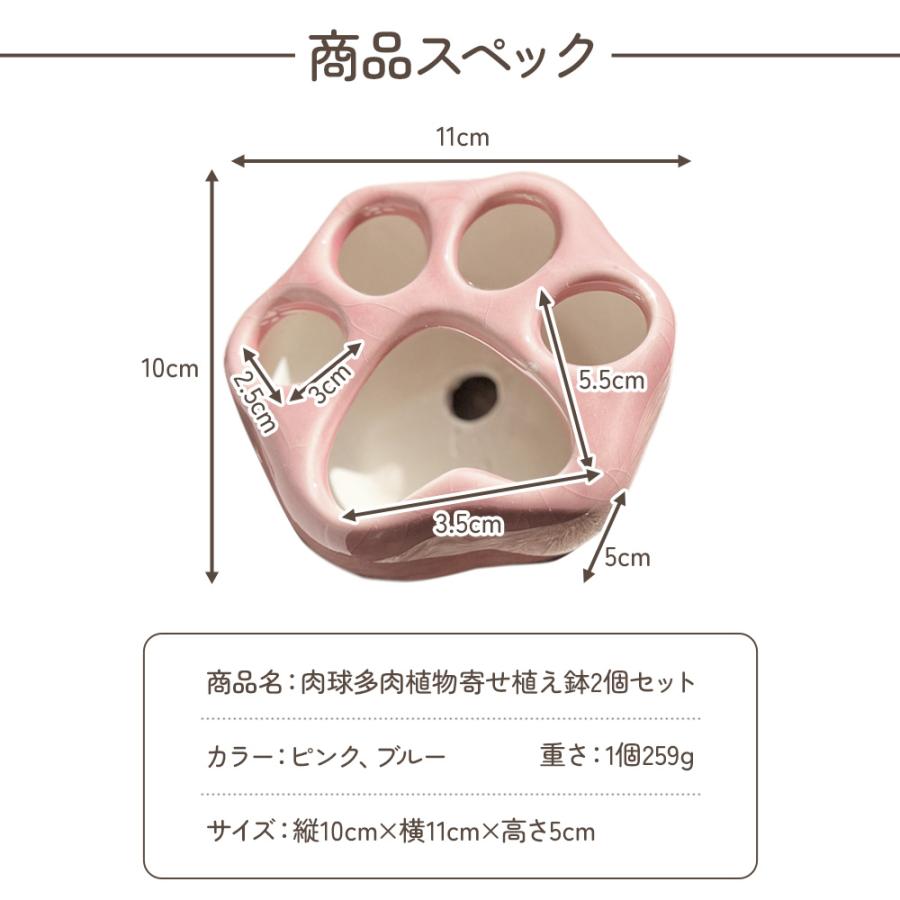 肉球 多肉植物 寄せ植え 鉢 2個セット 猫 可愛い ピンク ブルー